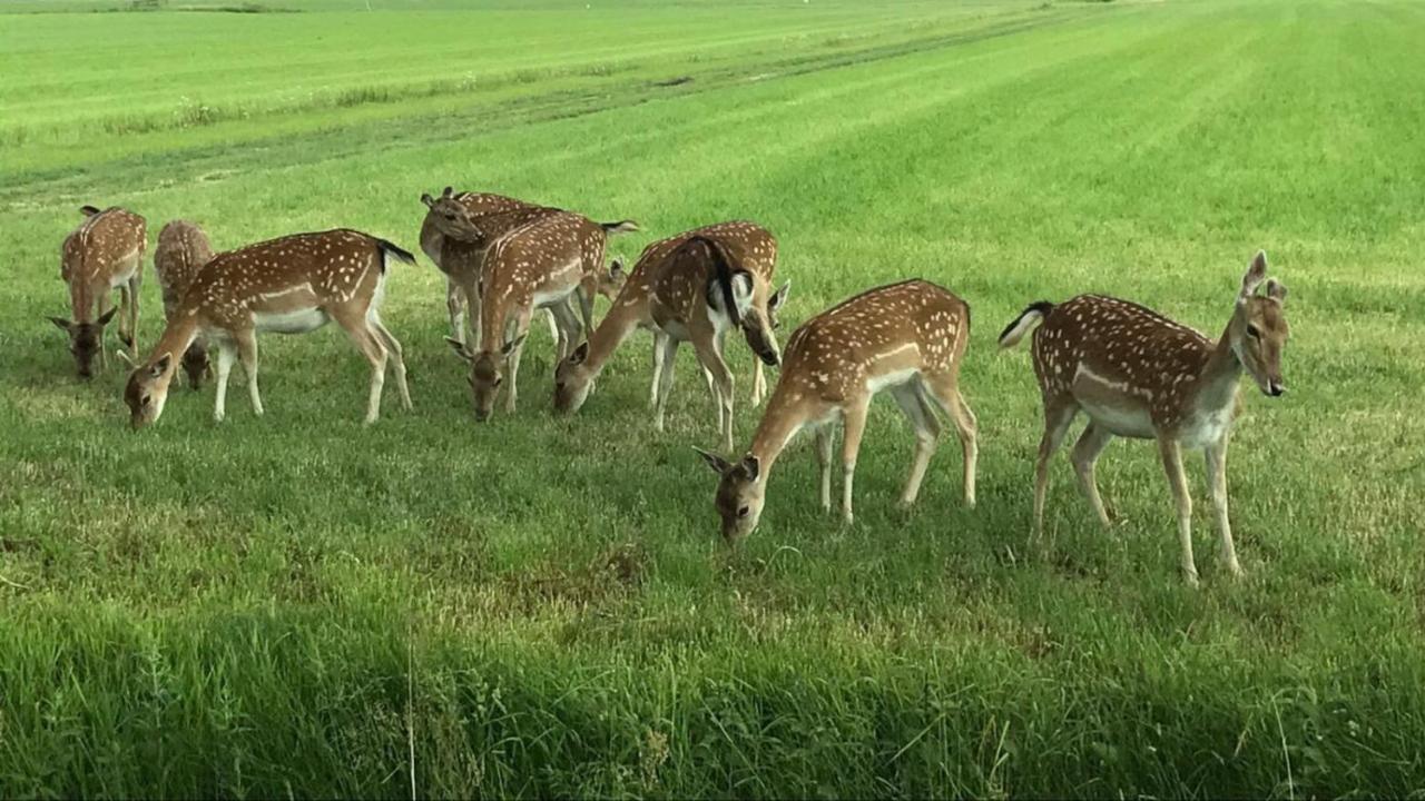 Mooiverblijf Oosterwolde  Dış mekan fotoğraf
